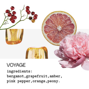 Voyage