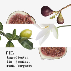 Fig