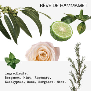 Rêve de Hammamet