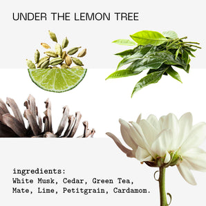 Under the Lemon Tree