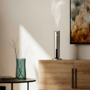 სახლის არომატიზატორი Aeris - Silver