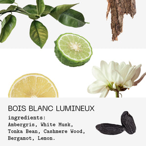 Bois Blanc Lumineux