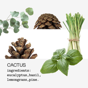 Cactus